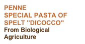 PENNE
SPECIAL PASTA OF SPELT "DICOCCO" 
From Biological Agriculture